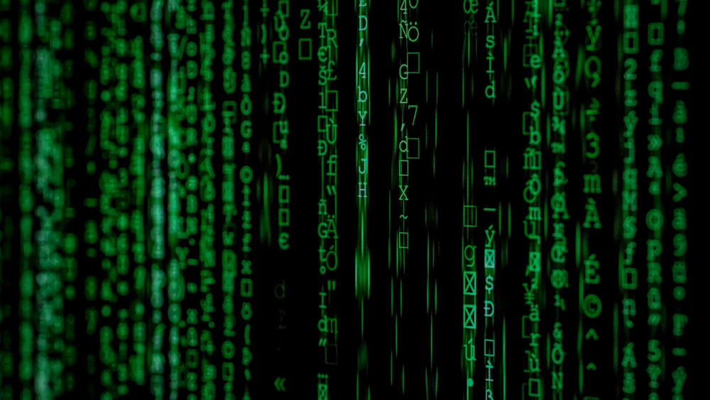 Angst vor Cyberkriminalität? So schützen Sie Ihre Website!