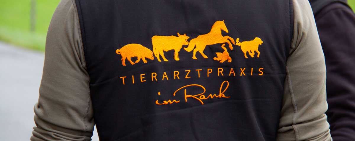fotoshooting tierarztimrank 02